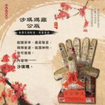 沙琪瑪雞－公版