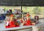 麵線龜 【可客製斤數 壽龜】