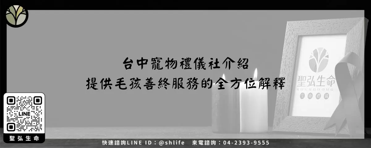 台中寵物禮儀社介紹－提供毛孩善終服務的全方位解釋