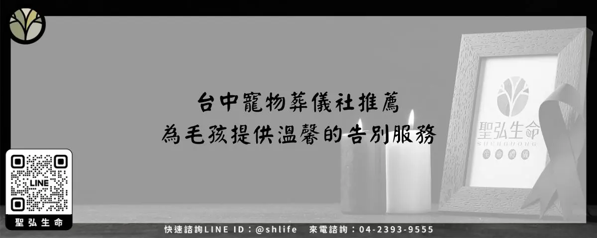 台中寵物葬儀社推薦－為毛孩提供溫馨的告別服務