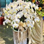 冰清玉潔 商品.jpg