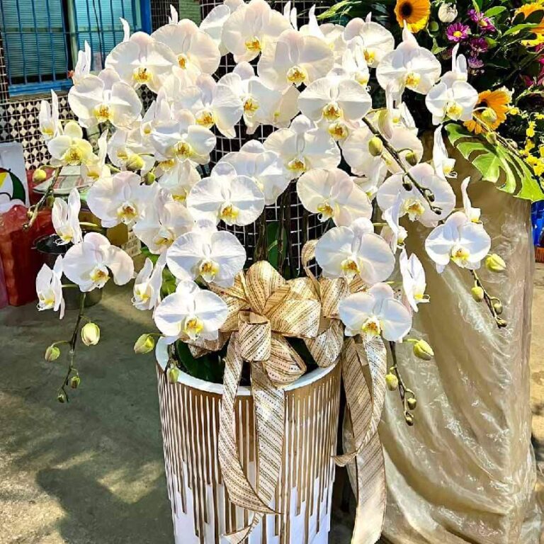 冰清玉潔 商品.jpg