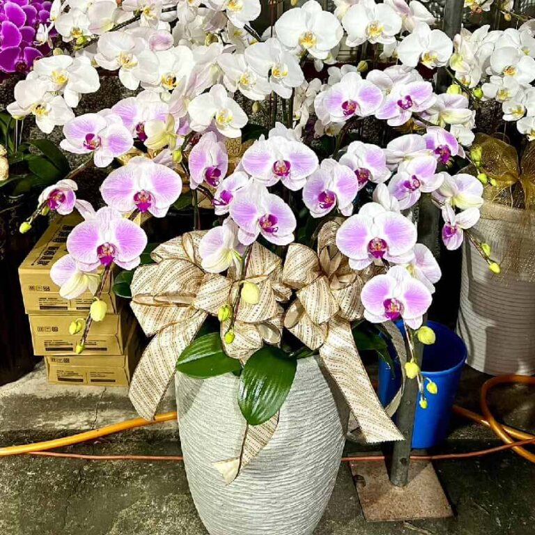 弔唁花盆 商品.jpg