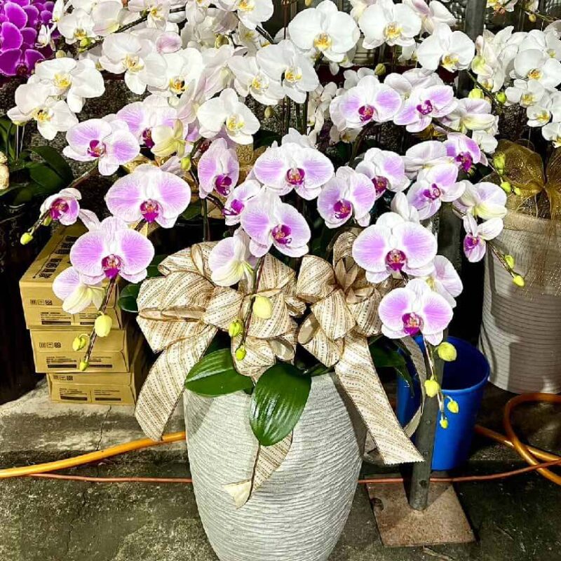 弔唁花盆 商品.jpg