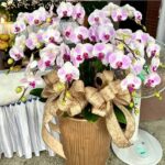 悼念蘭花 商品.jpg