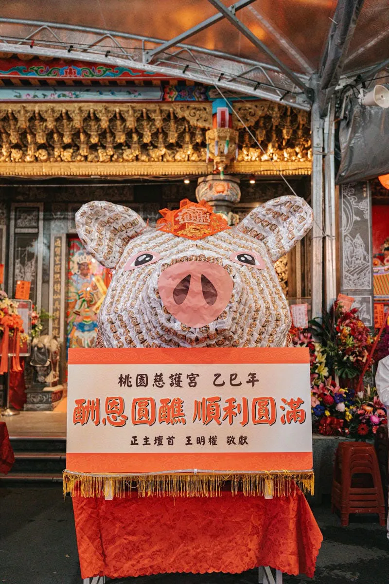 桃園慈護宮豬羊 05