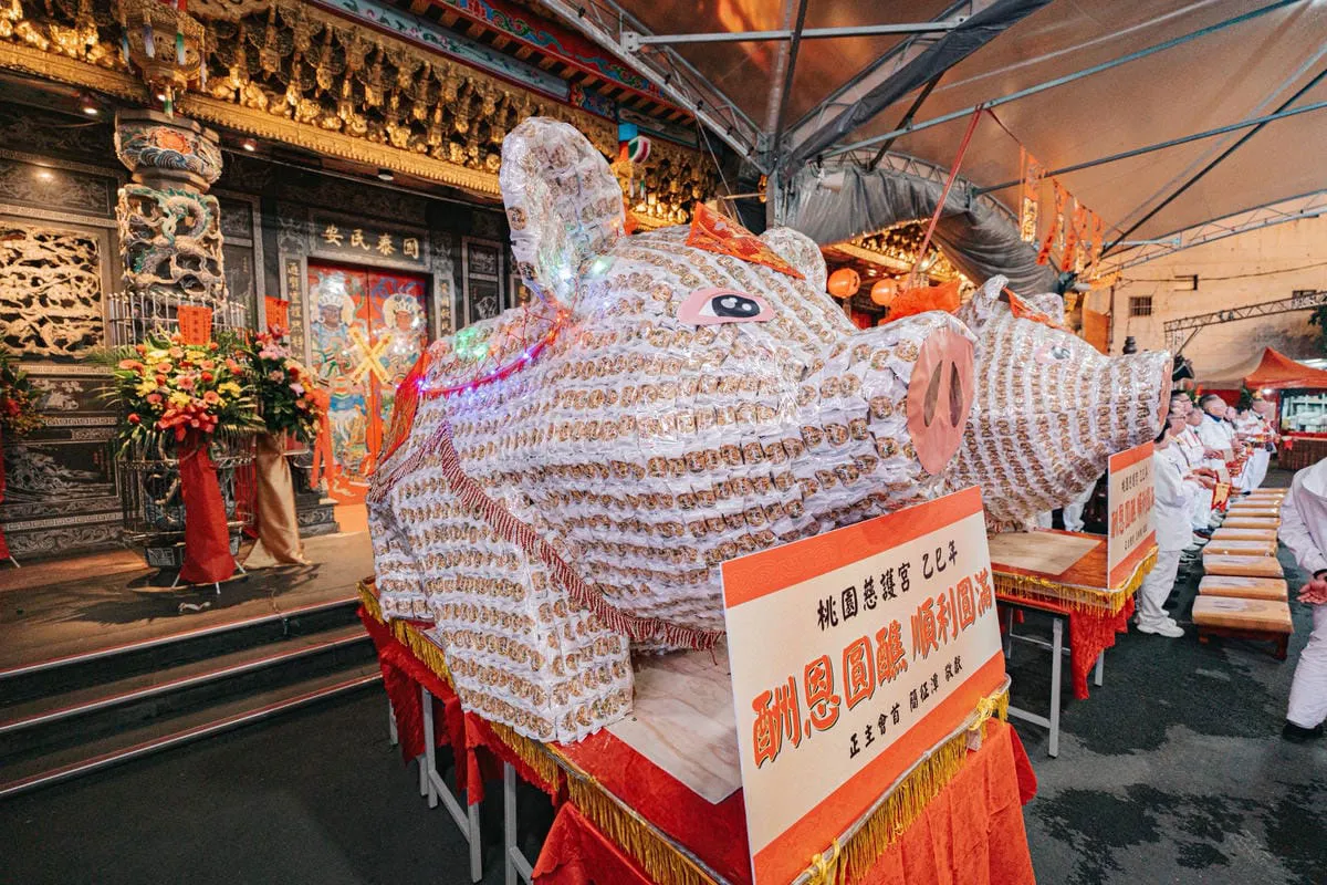 桃園慈護宮神豬 06