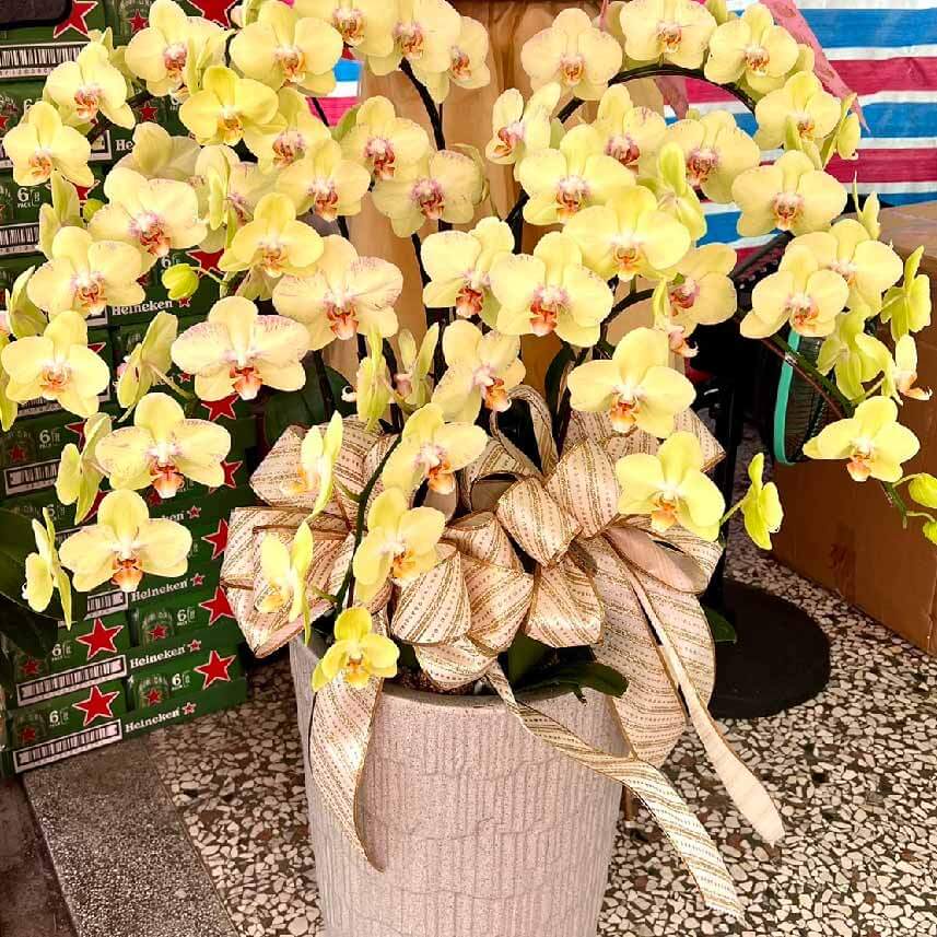 清玉澄淨 商品.jpg