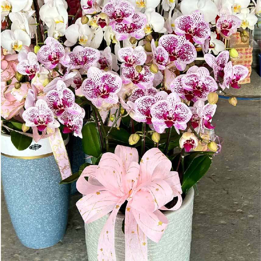 百花盛開 商品.jpg