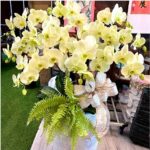 詩情畫意 商品.jpg