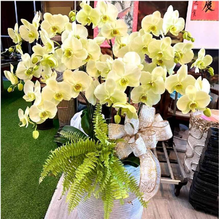 詩情畫意 商品.jpg