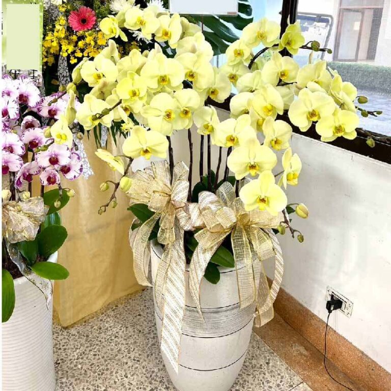 追思蘭花 商品.jpg