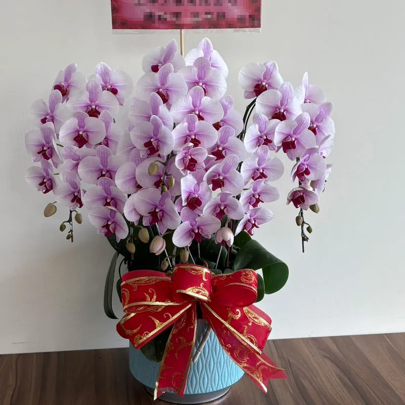 桌上型祝賀蘭花.webp