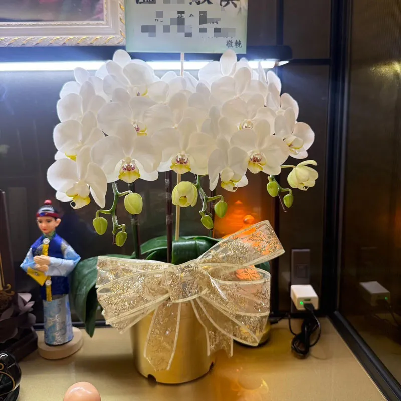 桌上型追思蘭花.webp